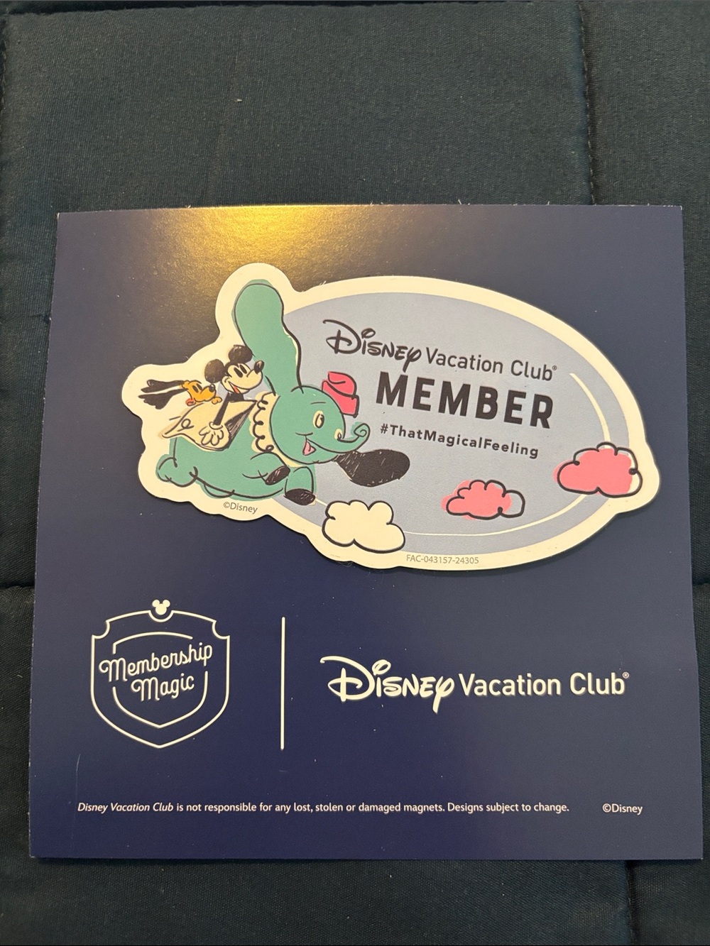 Disney DVC MEMBER MAGNET Dumbo Mickey Minnie